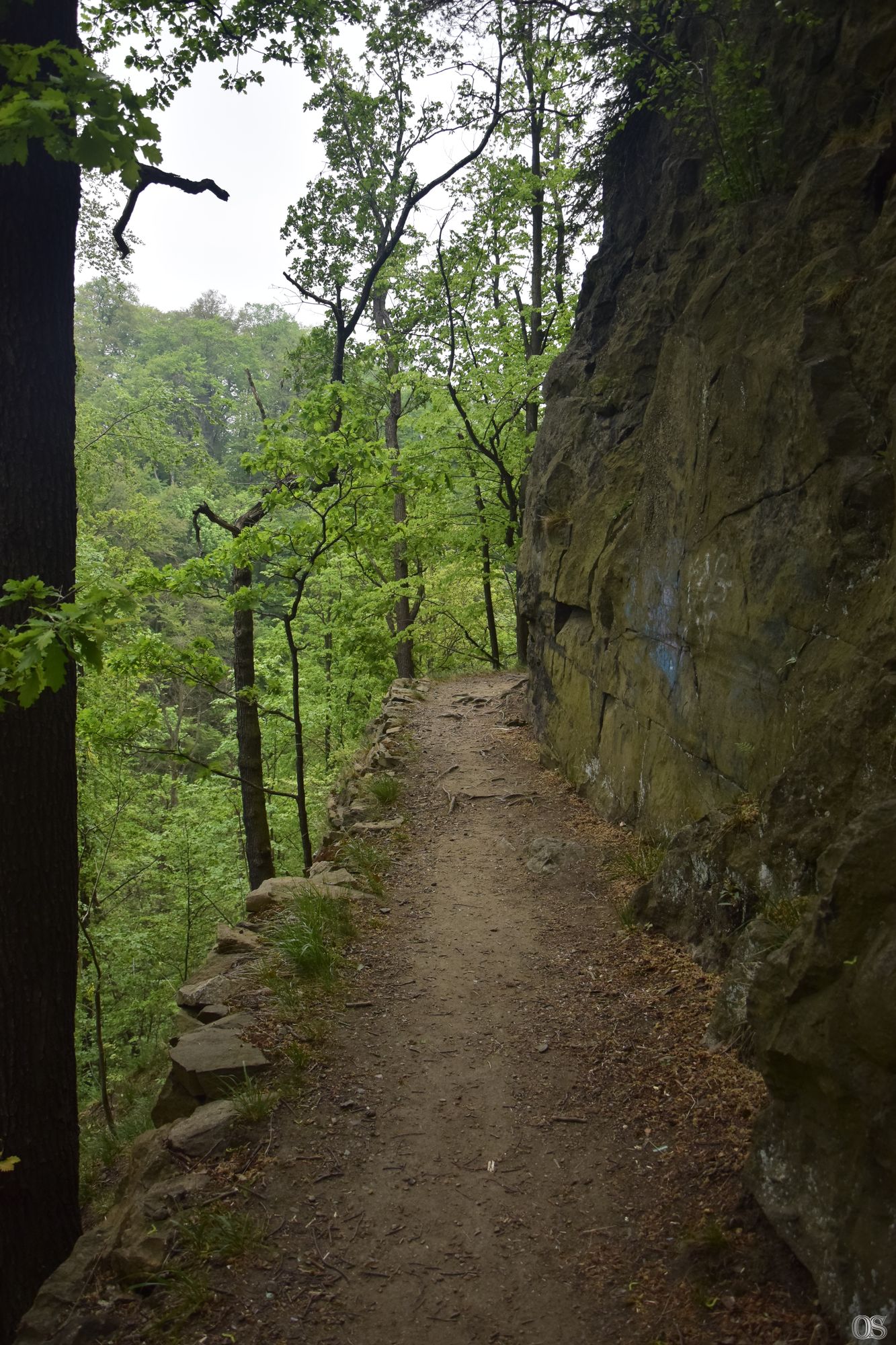 Sciezka Hochbergow 71.jpg